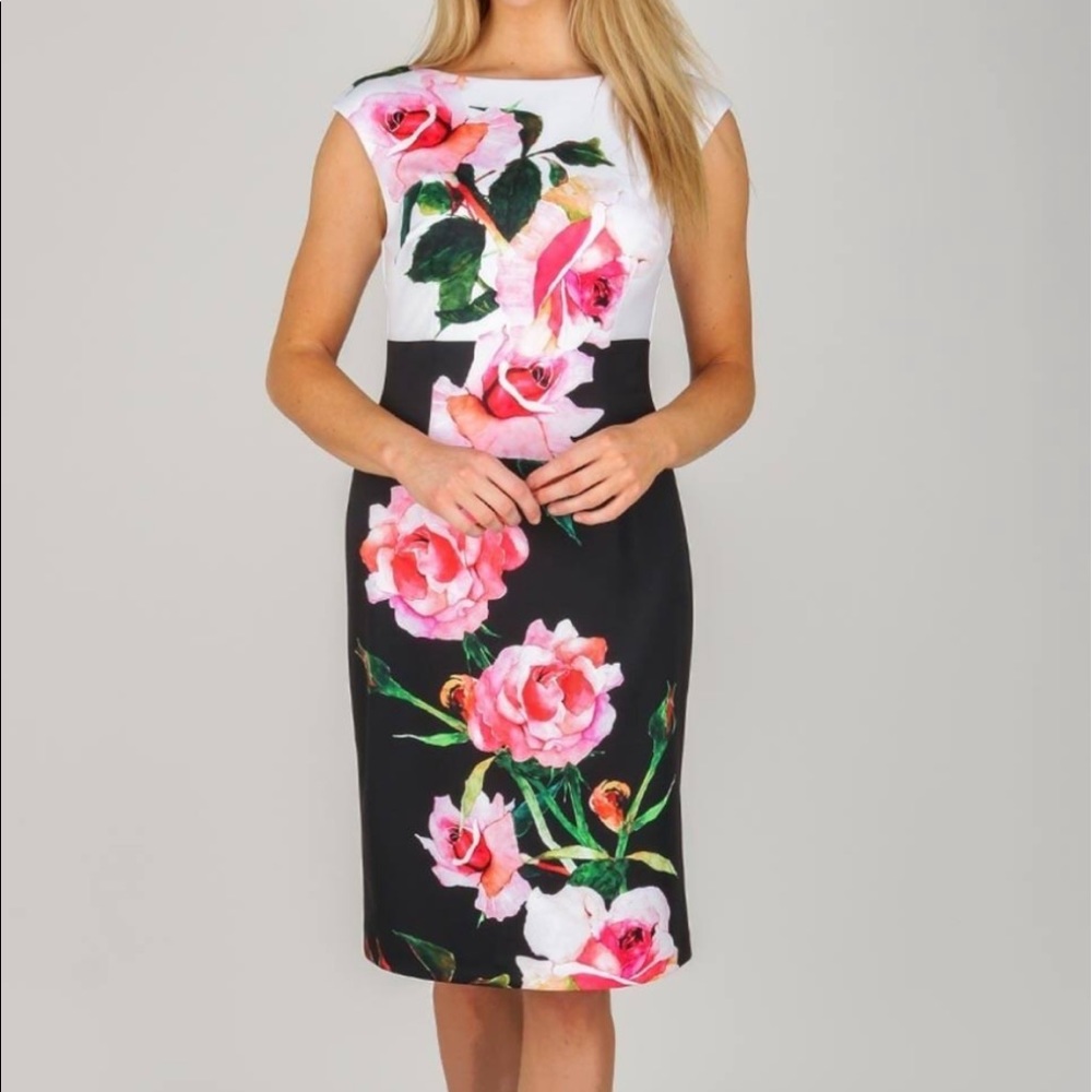 Joseph Ribkkof rose dress🌹🌹NWT